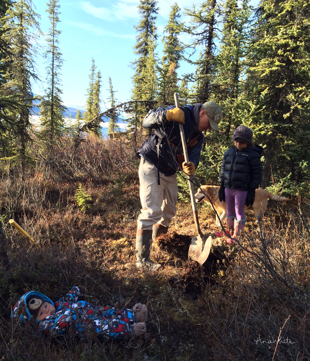 Behind the Scenes of our Alaska Lake Cabin Build Ana White